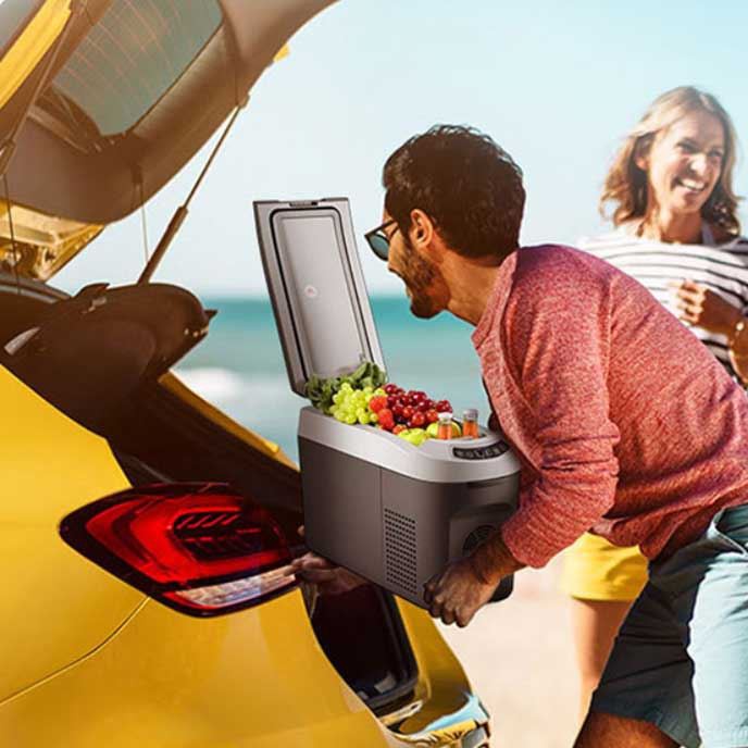 Rotation Viscous Dashpot  Vehicle Portable Fridge